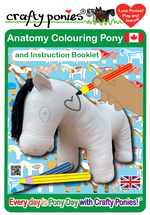 Load image into Gallery viewer, Pony - Anatomy
