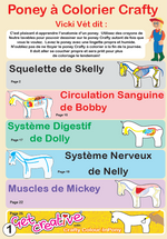 Load image into Gallery viewer, Pony - Anatomy
