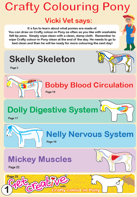 Anatomy Colouring Pony