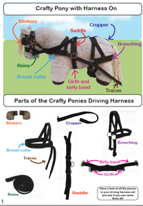 Driving Harness