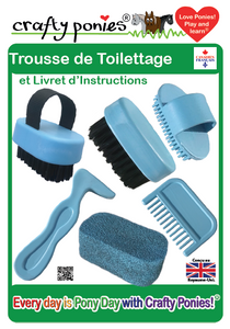 Kit de toilettage