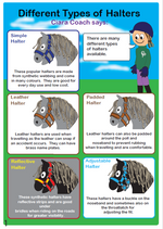 Load image into Gallery viewer, Halter
