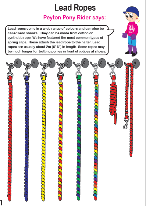 How To Make Lead Ropes Lead Rope – Crafty Ponies Canada