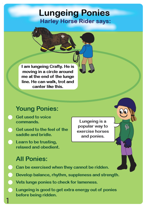 Lunging Set Lunge Set – Crafty Ponies Canada