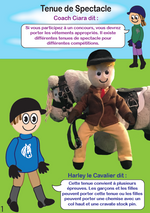 Load image into Gallery viewer, Rider Show Outfit
