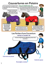 Load image into Gallery viewer, Snuggle Blanket Set
