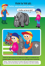 Load image into Gallery viewer, Vet Suture Kit
