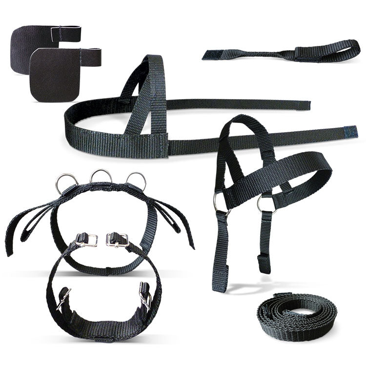 Driving Harness